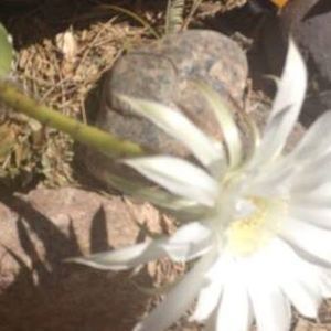 Meet your Posher, Kathryn